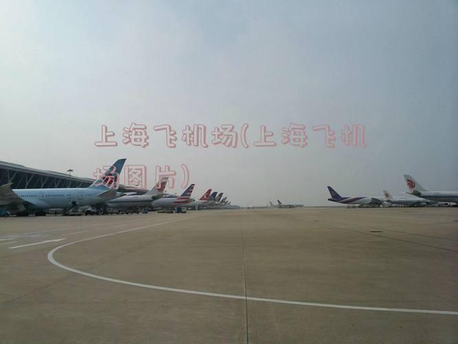 上海飞机场(上海飞机场图片)