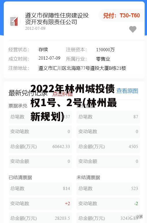 2022年林州城投债权1号、2号(林州最新规划)