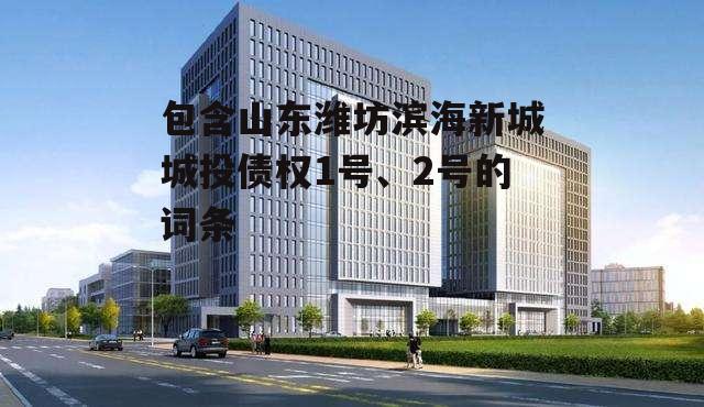 包含山东潍坊滨海新城城投债权1号、2号的词条