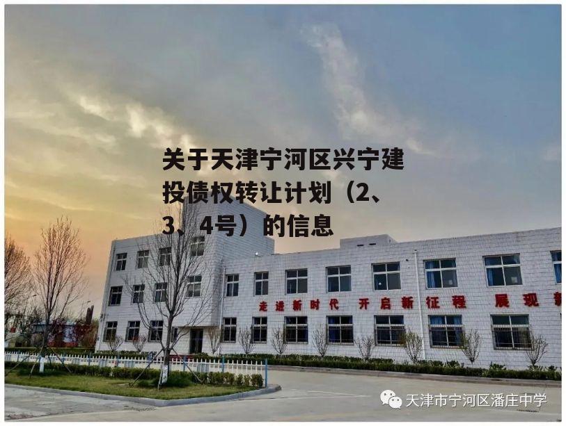 关于天津宁河区兴宁建投债权转让计划（2、3、4号）的信息