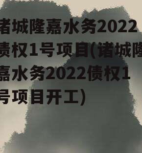 诸城隆嘉水务2022债权1号项目(诸城隆嘉水务2022债权1号项目开工)