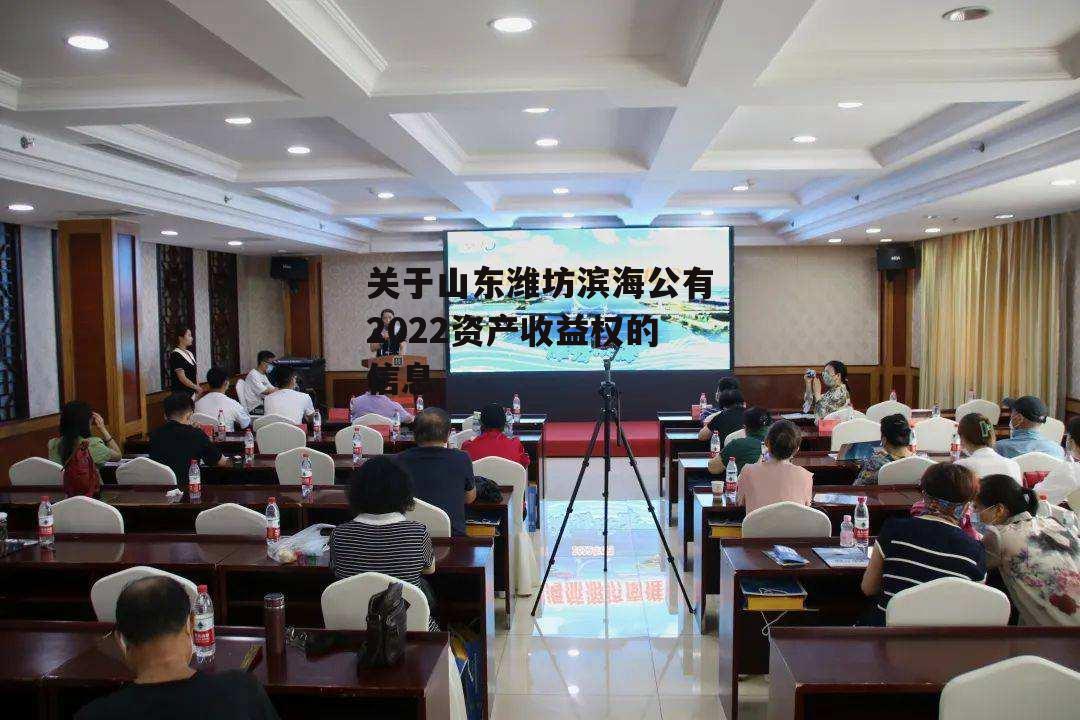 关于山东潍坊滨海公有2022资产收益权的信息