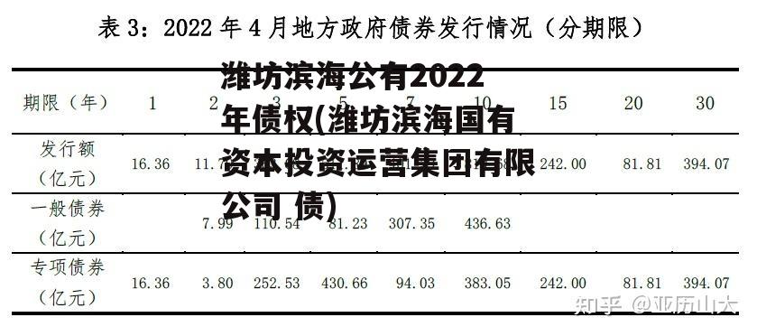 潍坊滨海公有2022年债权(潍坊滨海国有资本投资运营集团有限公司 债)