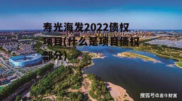 寿光海发2022债权项目(什么是项目债权部分)