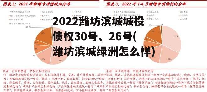 2022潍坊滨城城投债权30号、26号(潍坊滨城绿洲怎么样)