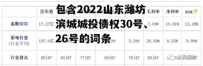包含2022山东潍坊滨城城投债权30号、26号的词条