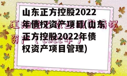 山东正方控股2022年债权资产项目(山东正方控股2022年债权资产项目管理)