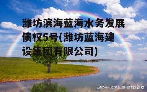 潍坊滨海蓝海水务发展债权5号(潍坊蓝海建设集团有限公司)