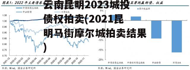 云南昆明2023城投债权拍卖(2021昆明马街摩尔城拍卖结果)