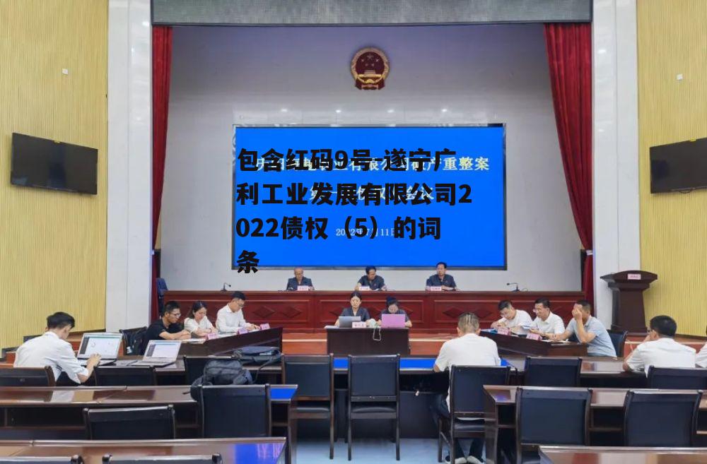包含红码9号-遂宁广利工业发展有限公司2022债权（5）的词条