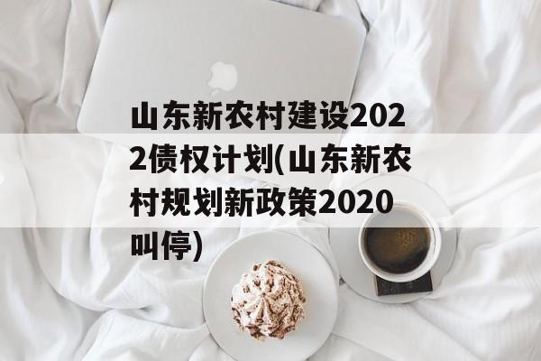 山东新农村建设2022债权计划(山东新农村规划新政策2020叫停)