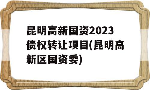 昆明高新国资2023债权转让项目(昆明高新区国资委)