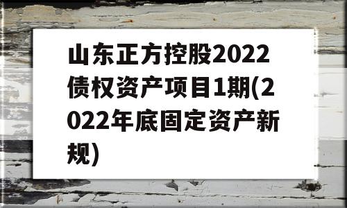 山东正方控股2022债权资产项目1期(2022年底固定资产新规)