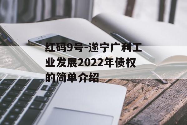 红码9号-遂宁广利工业发展2022年债权的简单介绍