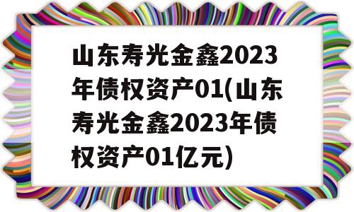 山东寿光金鑫2023年债权资产01(山东寿光金鑫2023年债权资产01亿元)