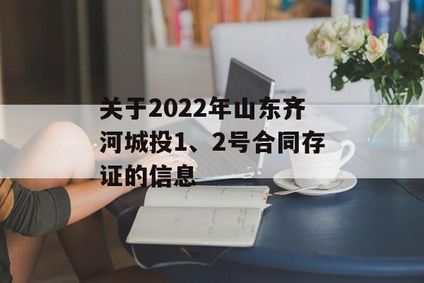 关于2022年山东齐河城投1、2号合同存证的信息
