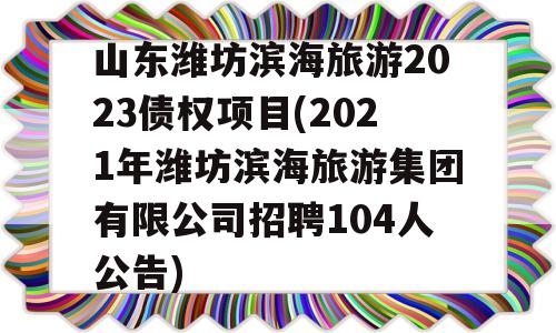 山东潍坊滨海旅游2023债权项目(2021年潍坊滨海旅游集团有限公司招聘104人公告)
