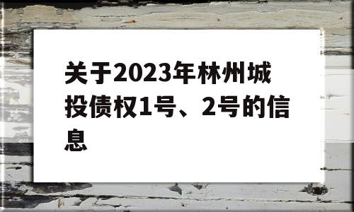 关于2023年林州城投债权1号、2号的信息
