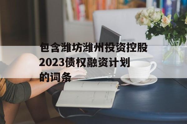包含潍坊潍州投资控股2023债权融资计划的词条