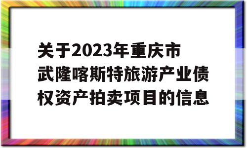 关于2023年重庆市武隆喀斯特旅游产业债权资产拍卖项目的信息