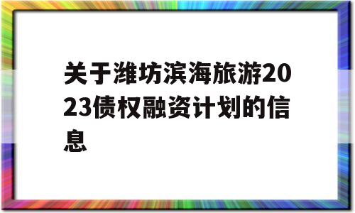 关于潍坊滨海旅游2023债权融资计划的信息