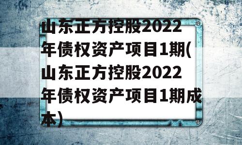 山东正方控股2022年债权资产项目1期(山东正方控股2022年债权资产项目1期成本)