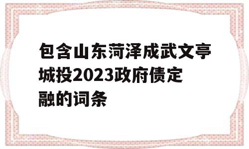 包含山东菏泽成武文亭城投2023政府债定融的词条