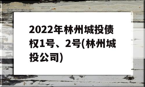 2022年林州城投债权1号、2号(林州城投公司)