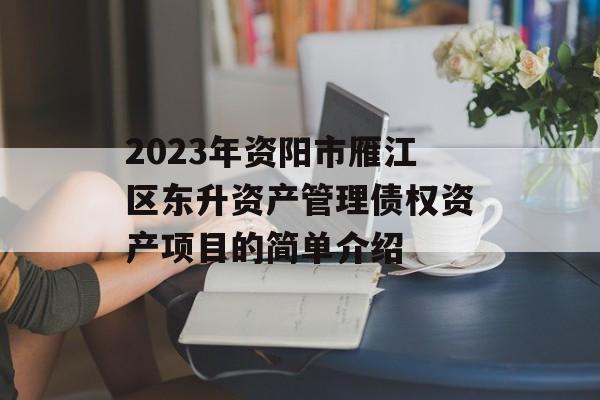 2023年资阳市雁江区东升资产管理债权资产项目的简单介绍