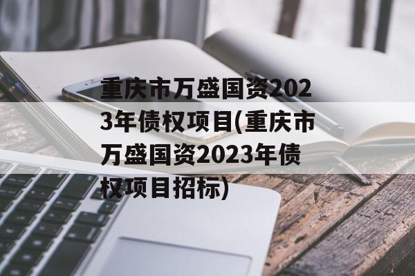 重庆市万盛国资2023年债权项目(重庆市万盛国资2023年债权项目招标)