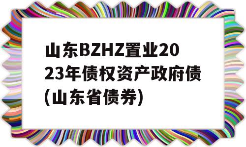 山东BZHZ置业2023年债权资产政府债(山东省债券)