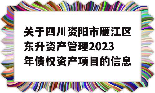 关于四川资阳市雁江区东升资产管理2023年债权资产项目的信息