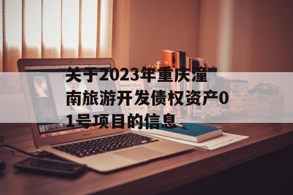 关于2023年重庆潼南旅游开发债权资产01号项目的信息