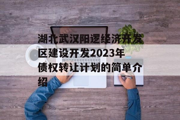 湖北武汉阳逻经济开发区建设开发2023年债权转让计划的简单介绍
